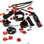 ToyJoy Just for You Bdsm Starter Kit