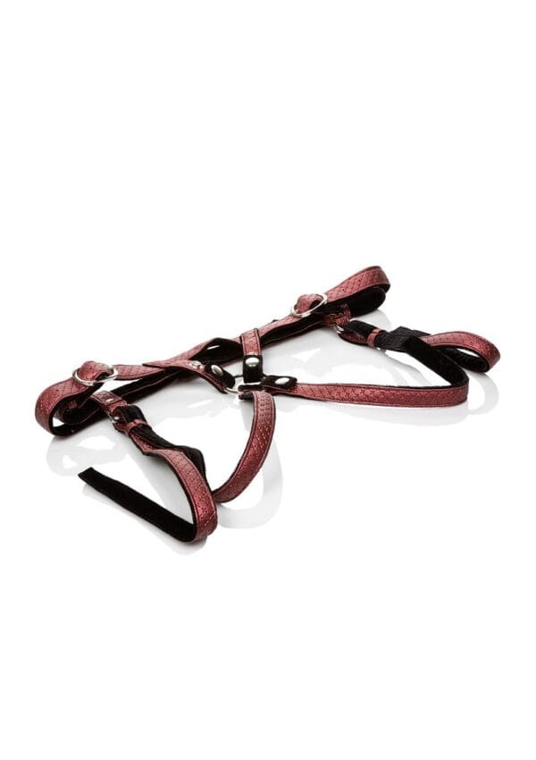 CalExotics Her Royal Harness The Regal Duchess - Image 3