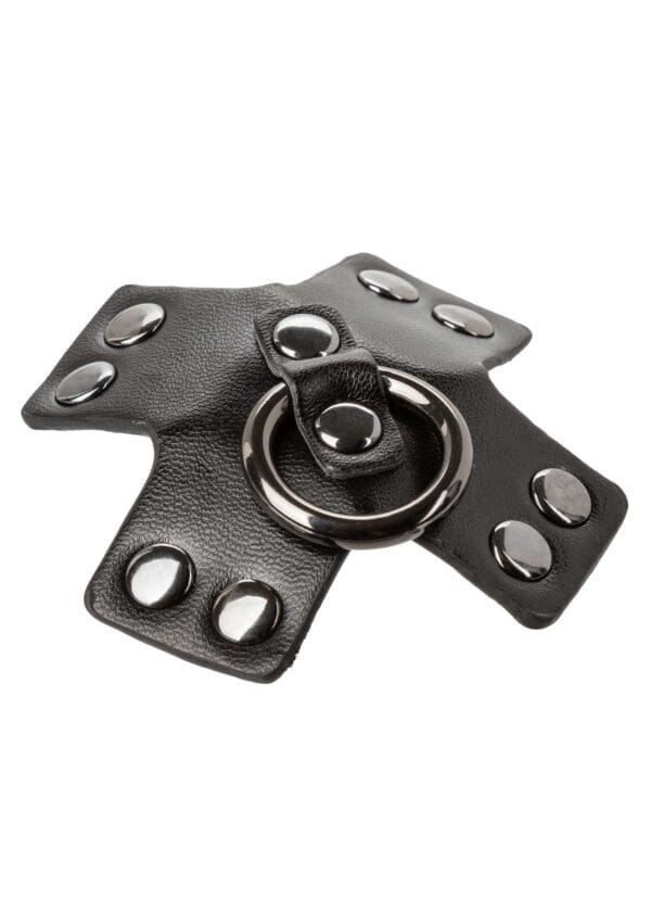 CalExotics Euphoria Collection O-Ring Pasties - Image 3