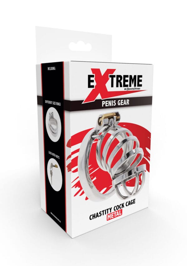 Hidden Desire Extreme Chastity Cock Cage Metal - Image 2