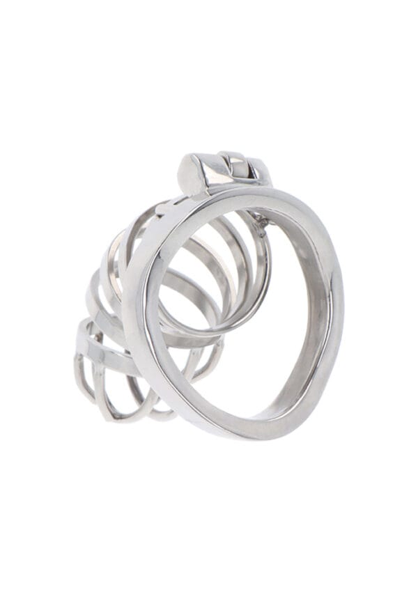 Hidden Desire Extreme Chastity Cock Cage Metal - Image 3