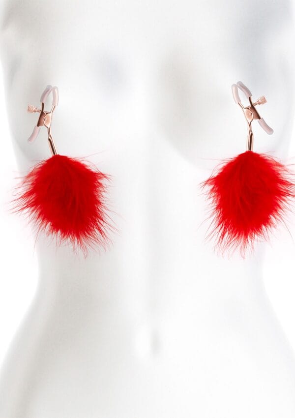 NS Novelties Bound Nipple Clamps F1 - Image 2