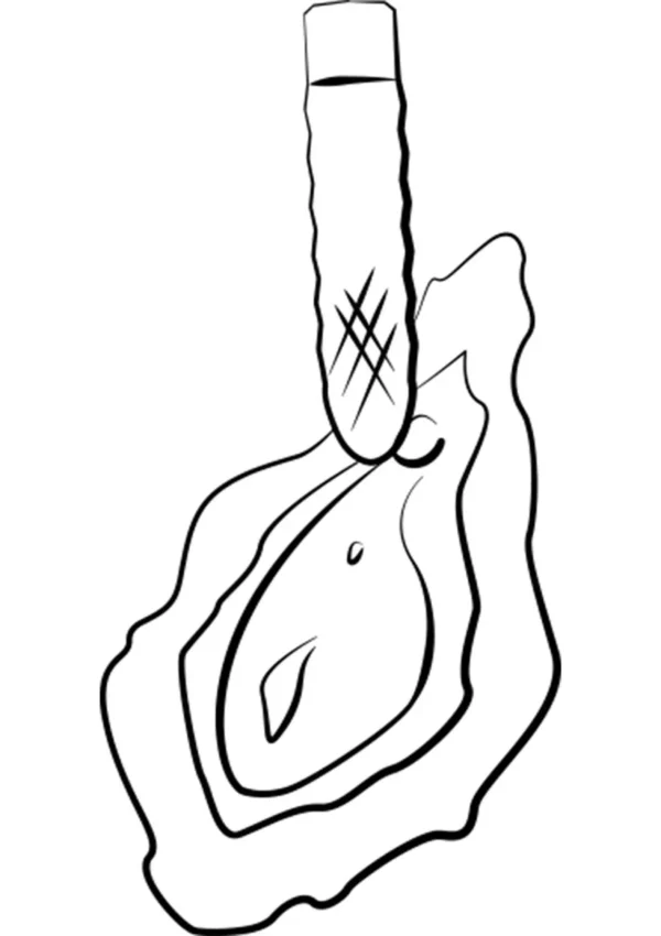Beat - Image 5