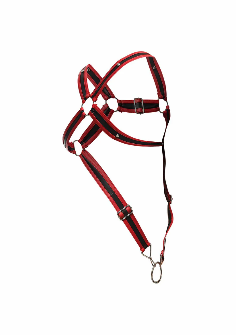 DNGEON Cross Cockring Harness - Image 2