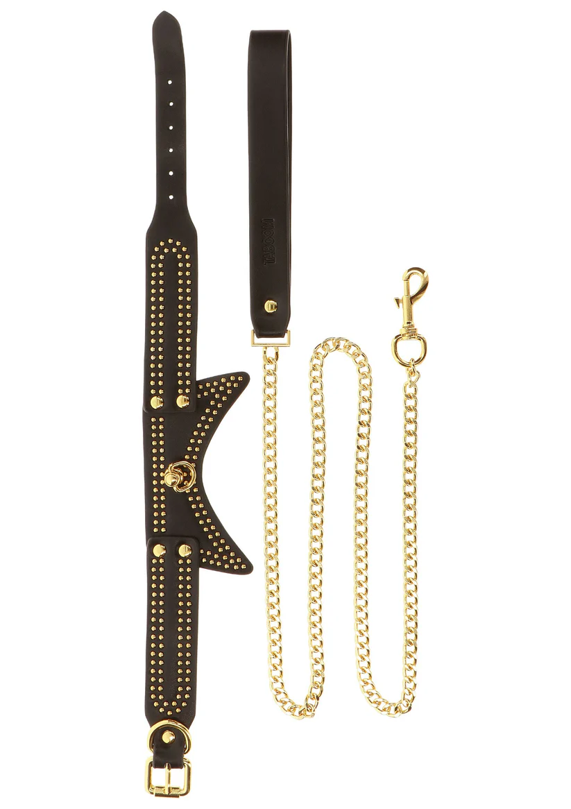 Studded Collar and Leash - Image 2